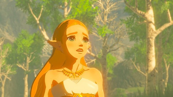 The Legend of Zelda: Breath of the Wild [Nintendo Switch]